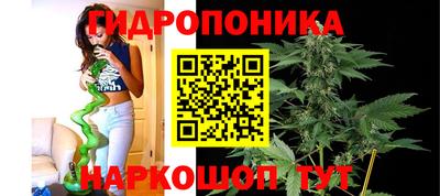 гидра Кунгур
